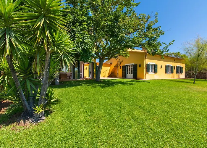 Finca Son Blat
