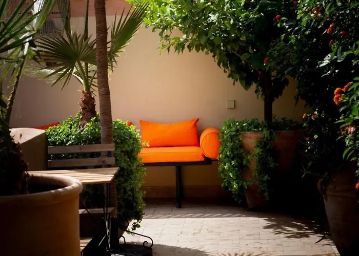 Riad Zouhour
