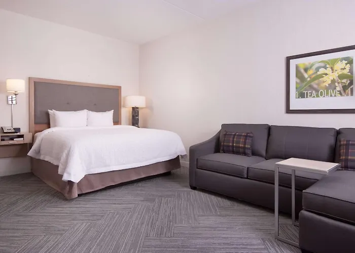 Hampton Inn & Suites By Hilton Augusta-Washington Rd
