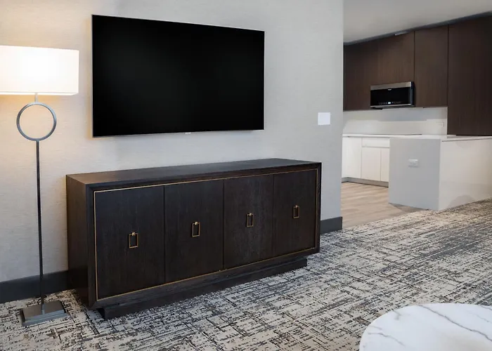 Springhill Suites By Marriott Chicago Chinatown
