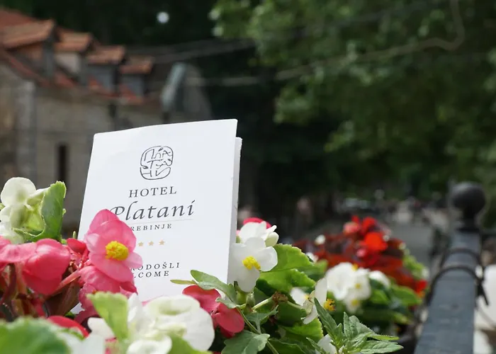 Hotel Platani