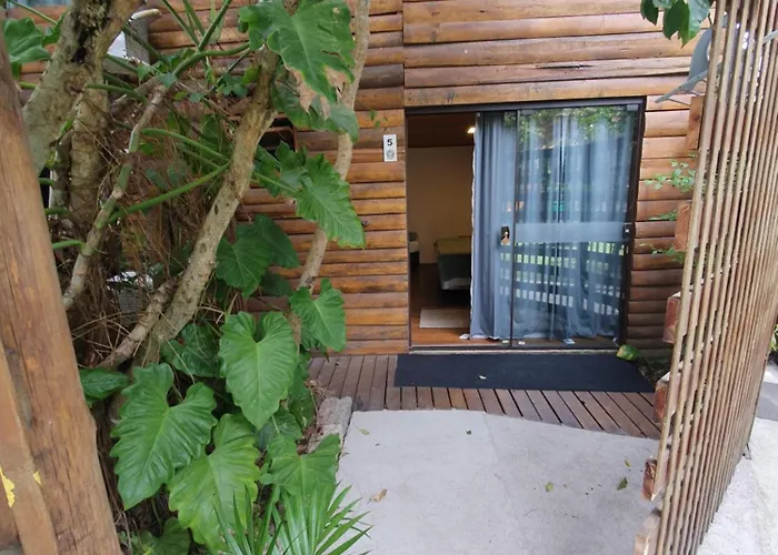 The Search House