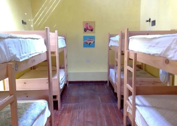 Wild Olive Guest House