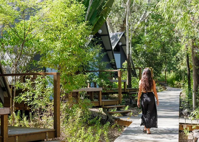 Bounce Magnetic Island And Koala Park