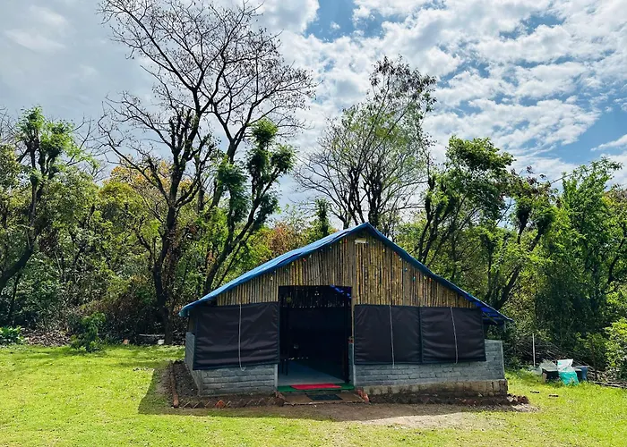 Dreamwoods Farm