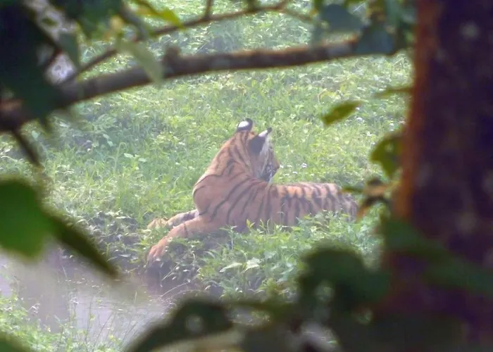 Sauraha Holiday Home Riverside By Managed Hotel Surya Adventure