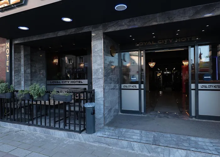 Bursa Loyal City Hotel