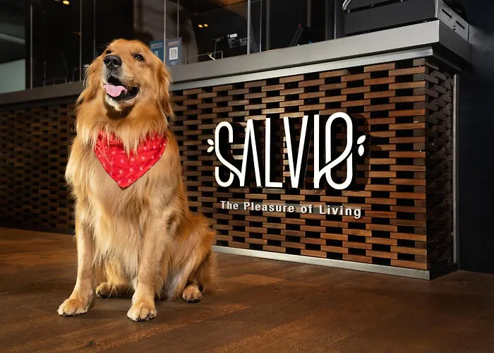 Salvio Parque 93 Bogota, Curio Collection By Hilton