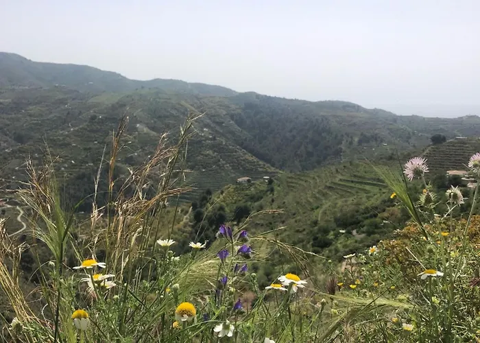 Cortijo el Abejaruco