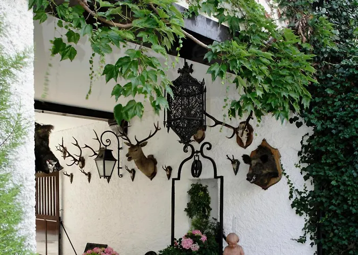 Hotellerie Du Bas-Breau