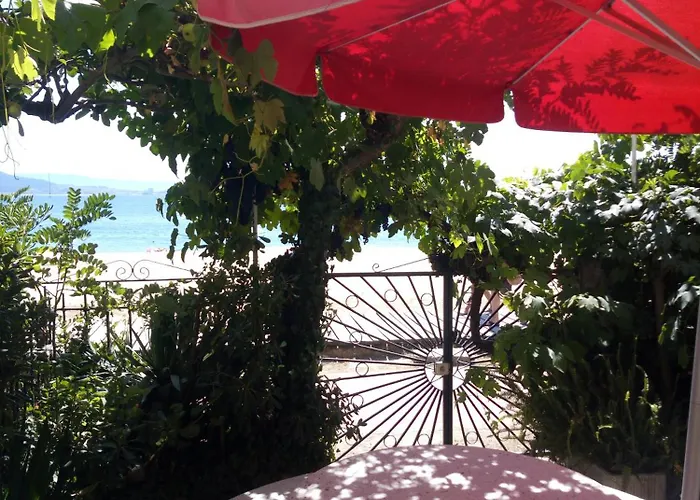 Hotel Playa