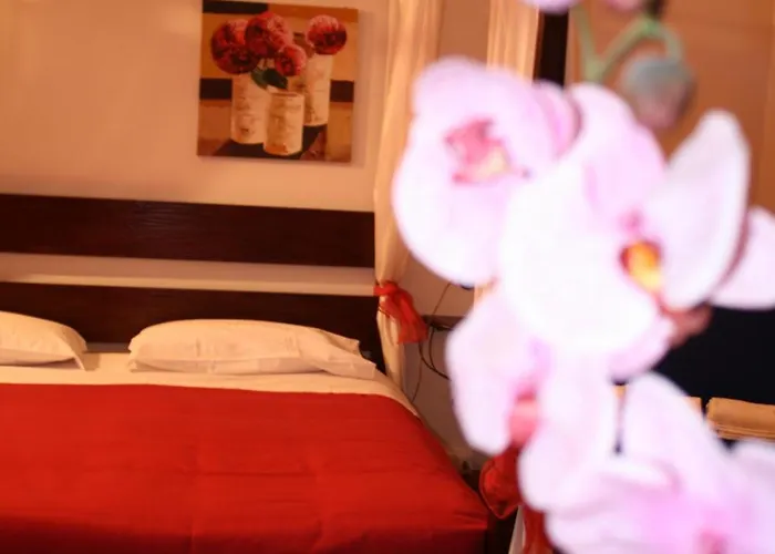 City'S House Guest House