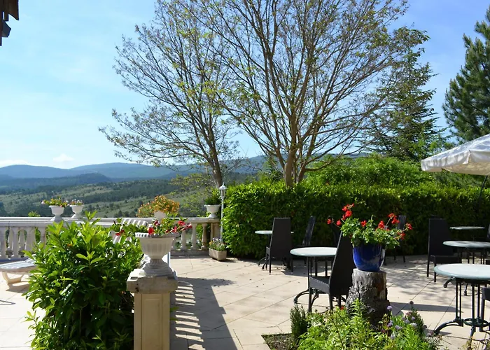 Logis Hotel Le Vieil Amandier