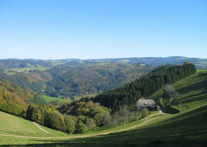 ZUR TRAUBE Schwarzwaldhotel&Restaurant am Titisee