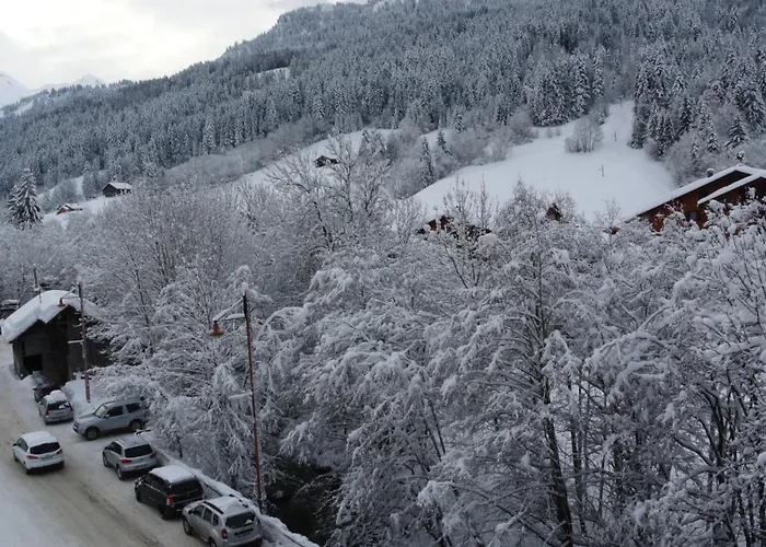 Hotel Et Spa Le Vermont