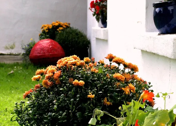 Kilcommon Lodge Holiday Hostel
