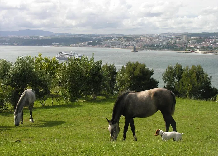 Quinta Tagus