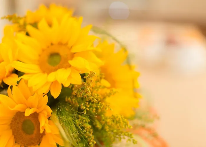Ristorante Hotel Lucia - 100 Mt Dal Mare