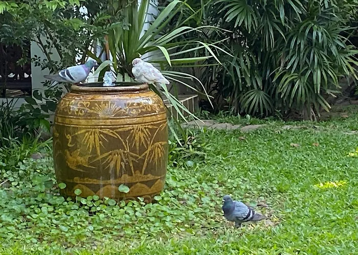 Baan Orapin