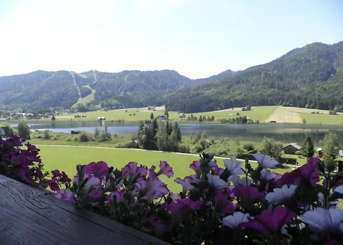 Hotel Wiesenhof direkt am See