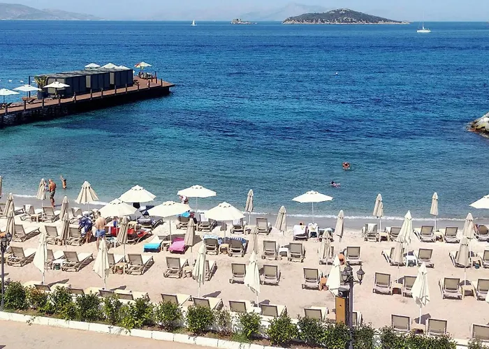 Small Beach Hotel