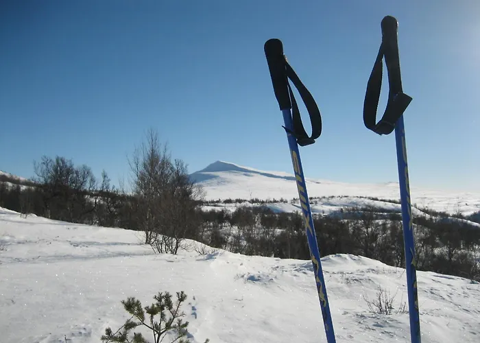 Hovringen Fjellstue