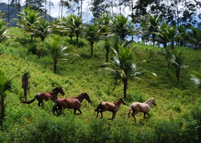 Hotel Eco Sitio Nosso Paraiso