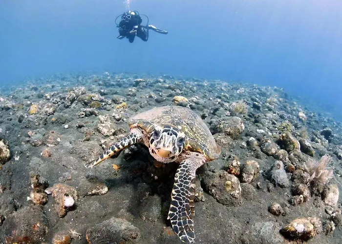 Villa Alba Bali Dive Resort