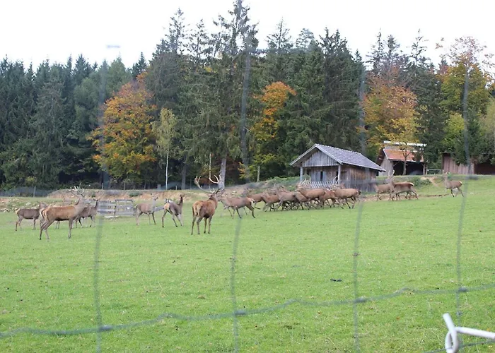 Gasthaus Zur Waldesruh