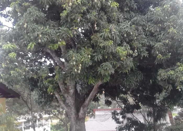 Hotel Pousada Gurupiá