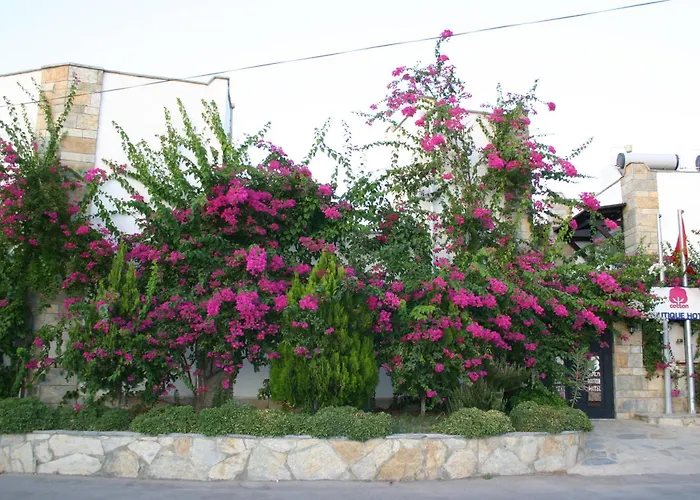 Cotton Boutique Hotel