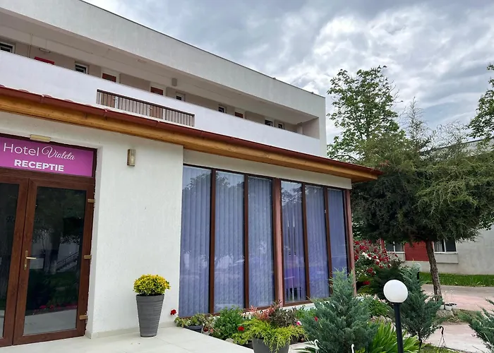 Hotel Violeta