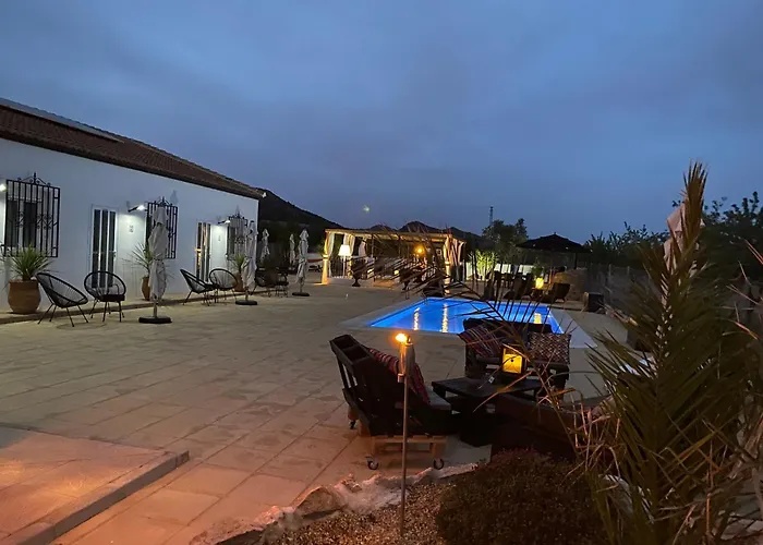 Oasis View