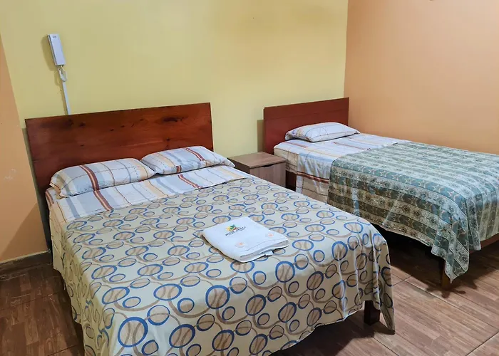 Hotel Brillo