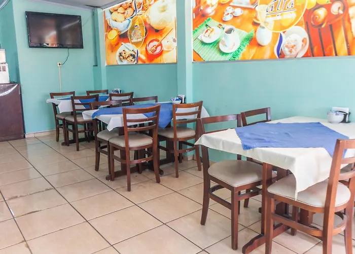 Alfa Hotel Vespasiano