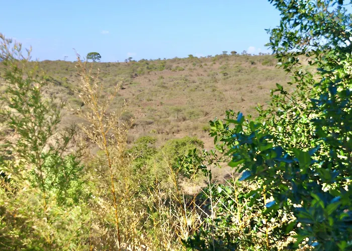 Savannah Ranch