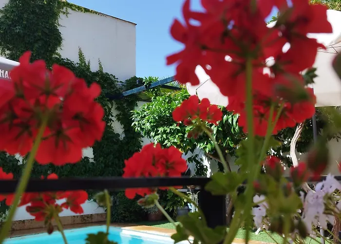 Suite Comares