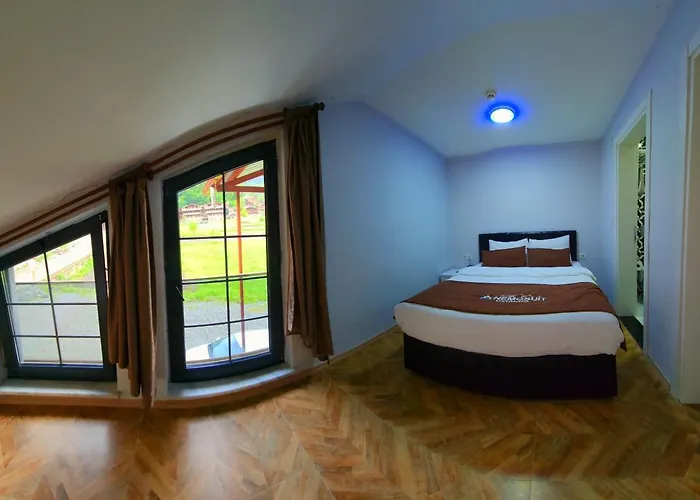 Anemo Suite
