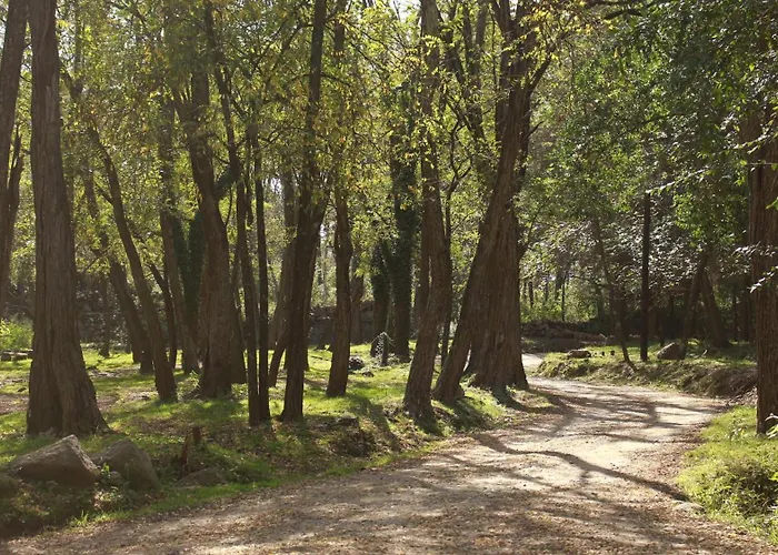 Complejo Rural El Rincon