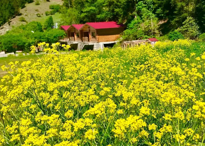 Hotel Green Valley Savsat