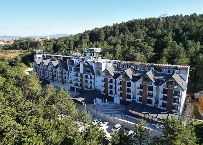 Amorium Hotel&Wooden Stone House