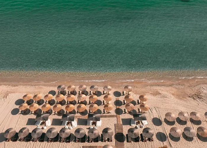 Acron Suites
