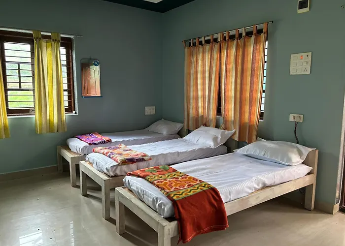 Cocogreen Hampi