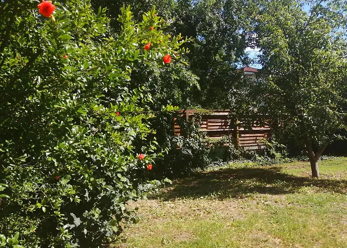 Rákos-patak Camper Home garden&free parking