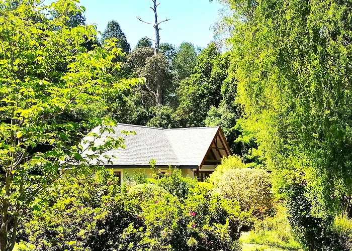 Hogsback Arminel Self Catering Cottages