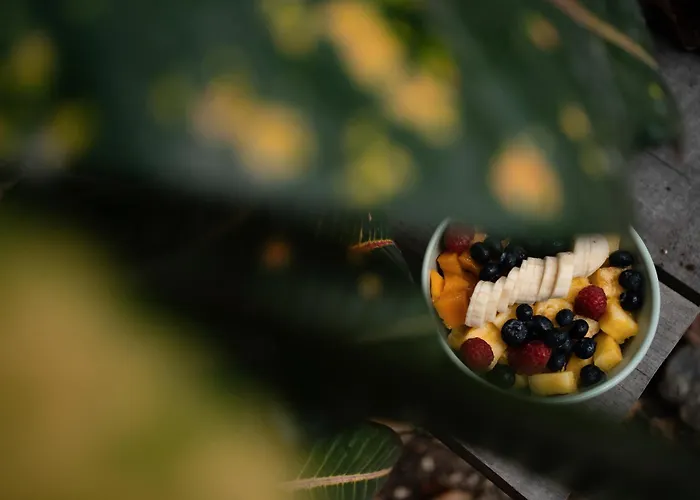 Botanica Tulum