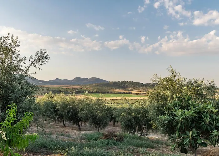 Casa Rural La Loma