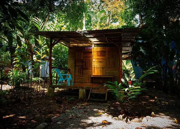Flutterby House Hostel