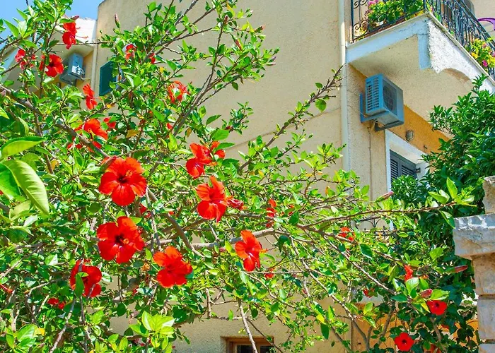 Marie Hotel