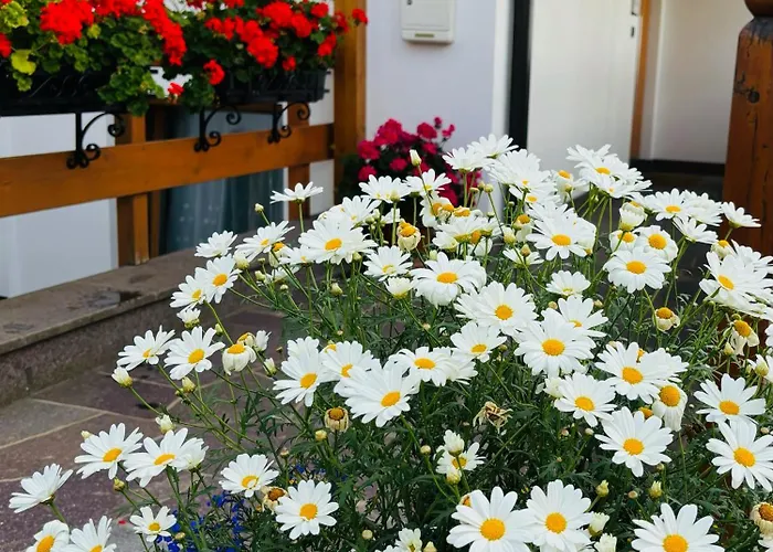 Residence Ravisa Dolomites Selva di Val Gardena